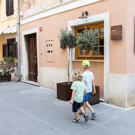 Apartment Studio11 Mist -tomsiceva 3 *