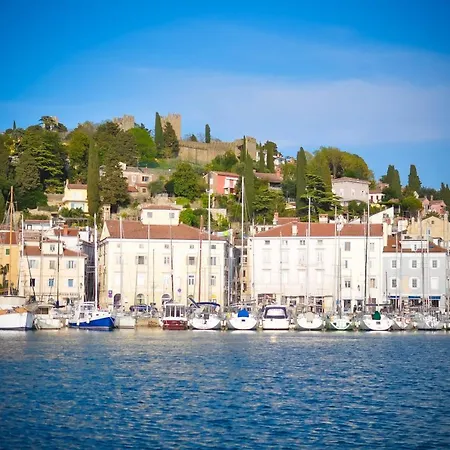 Apartment Studio11 Mist -tomsiceva 3 Piran