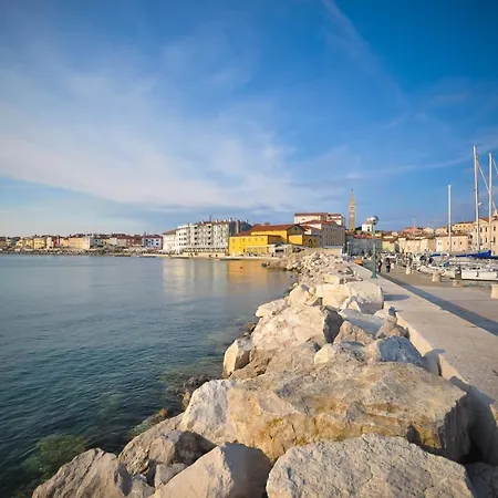 Apartment Studio11 Mist -tomsiceva 3 *