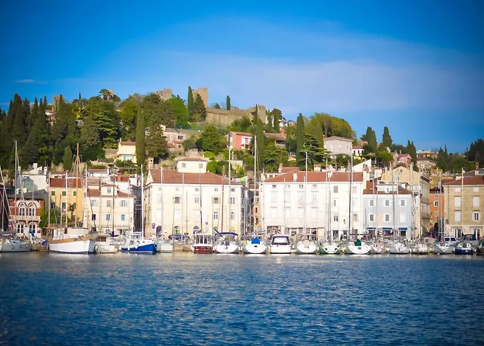 公寓 Studio11 Mist -tomsiceva 3 皮兰